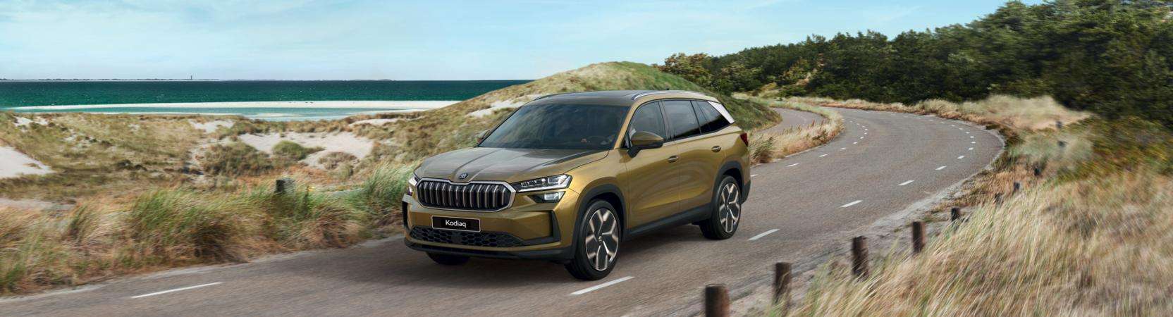 Kodiaq Corporate header image